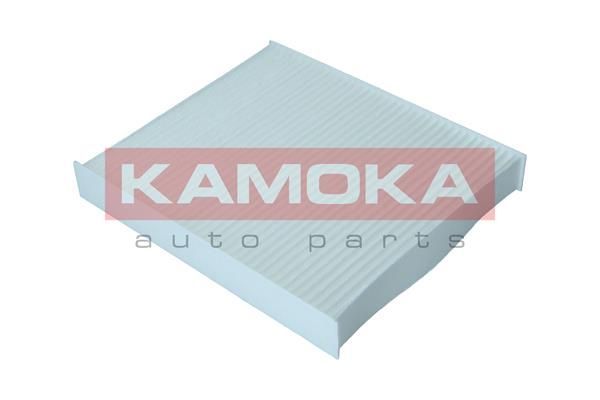 Filtras, salono oras KAMOKA F420701