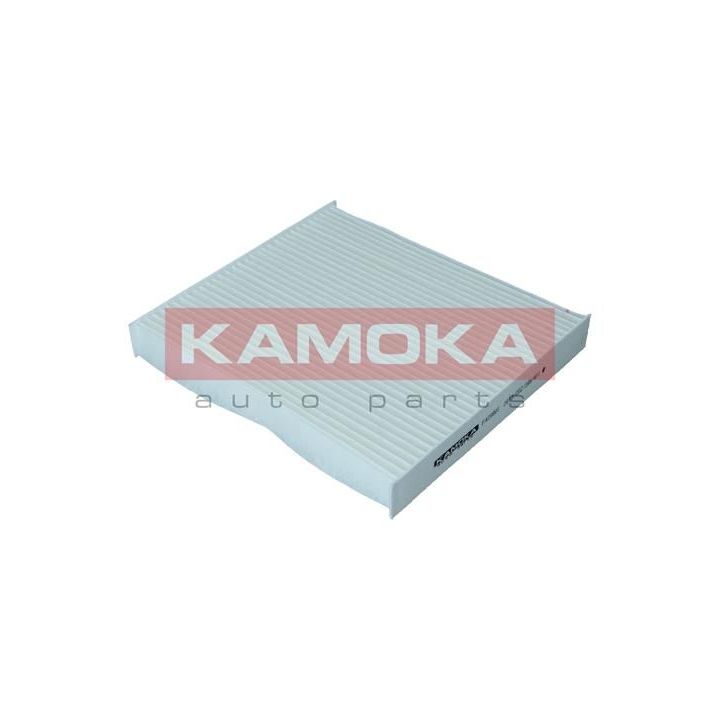 Filtras, salono oras KAMOKA F420801