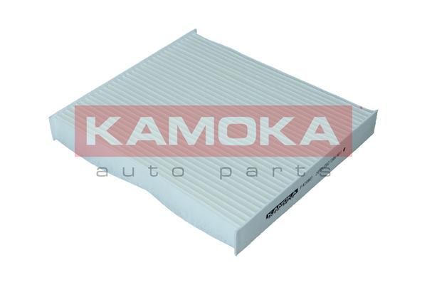 Filtras, salono oras KAMOKA F420801