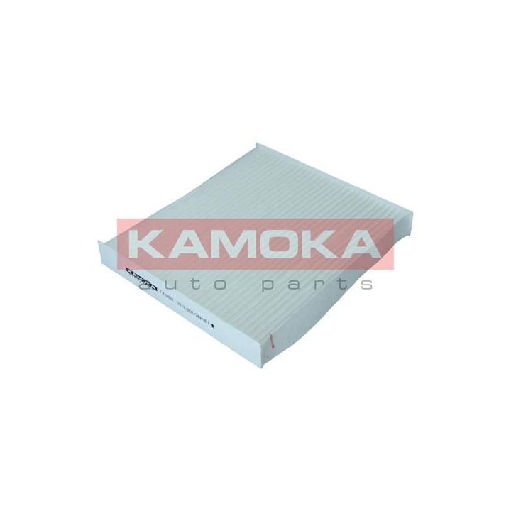 Filtras, salono oras KAMOKA F420801