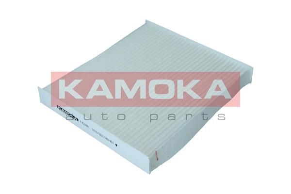 Filtras, salono oras KAMOKA F420801