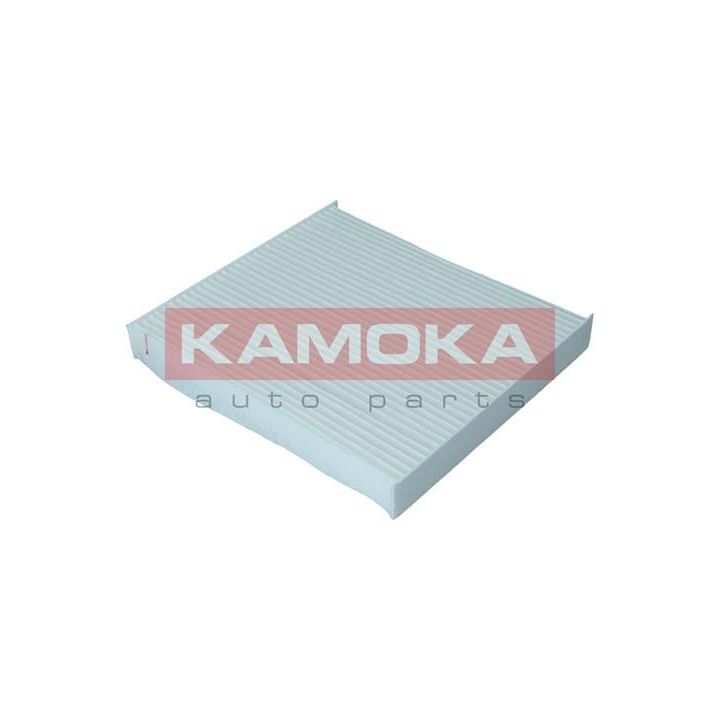 Filtras, salono oras KAMOKA F420801