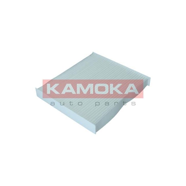 Filtras, salono oras KAMOKA F420801