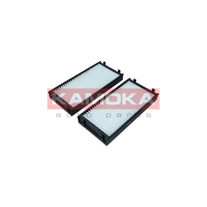 Filtras, salono oras KAMOKA F421101