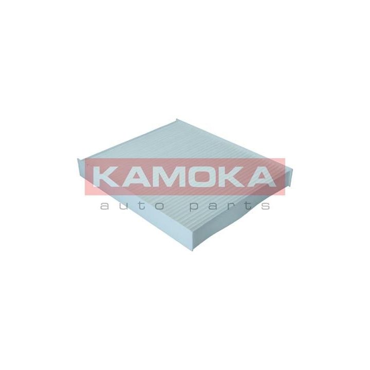Filtras, salono oras KAMOKA F422101