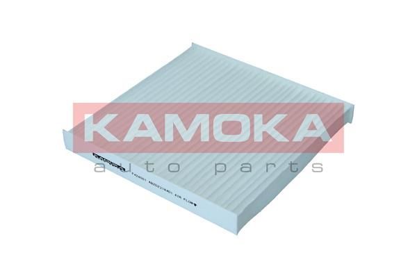 Filtras, salono oras KAMOKA F424001