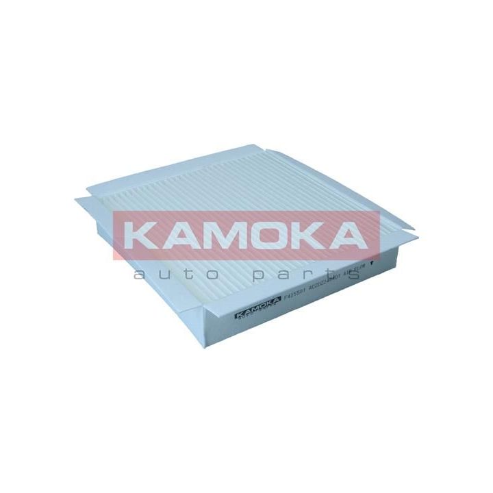 Filtras, salono oras KAMOKA F425501