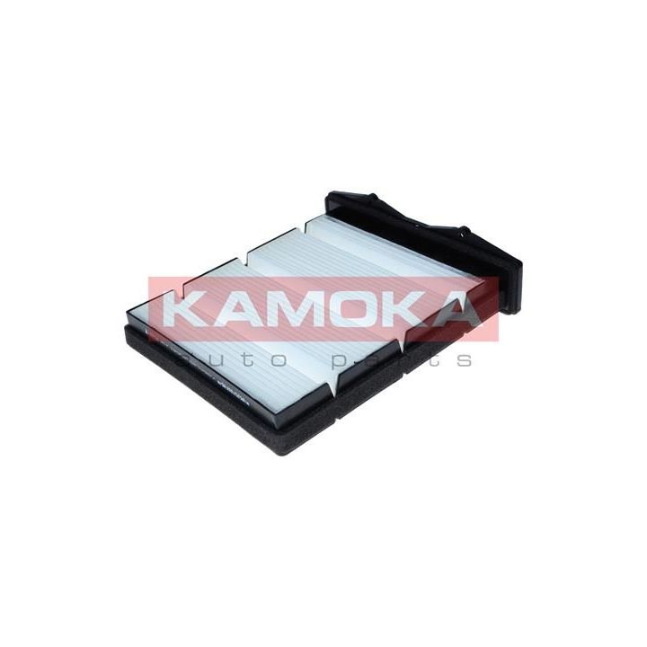 Filtras, salono oras KAMOKA F428401
