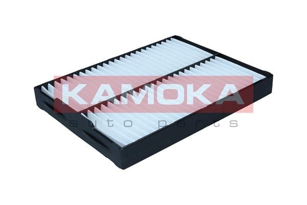 Filtras, salono oras KAMOKA F428901