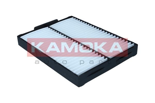 Filtras, salono oras KAMOKA F428901