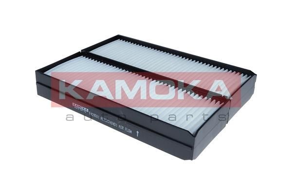 Filtras, salono oras KAMOKA F429501