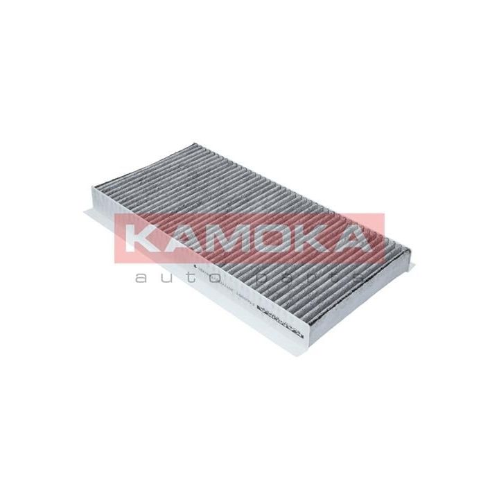 Filtras, salono oras KAMOKA F500901