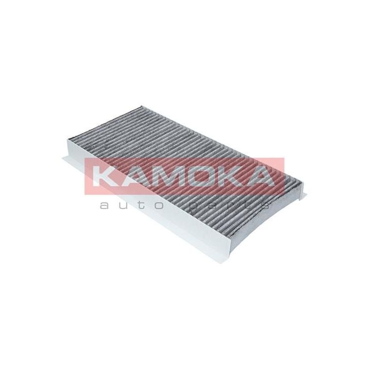 Filtras, salono oras KAMOKA F500901