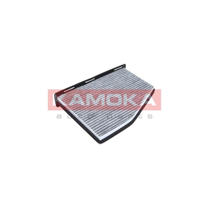 Filtras, salono oras KAMOKA F501701