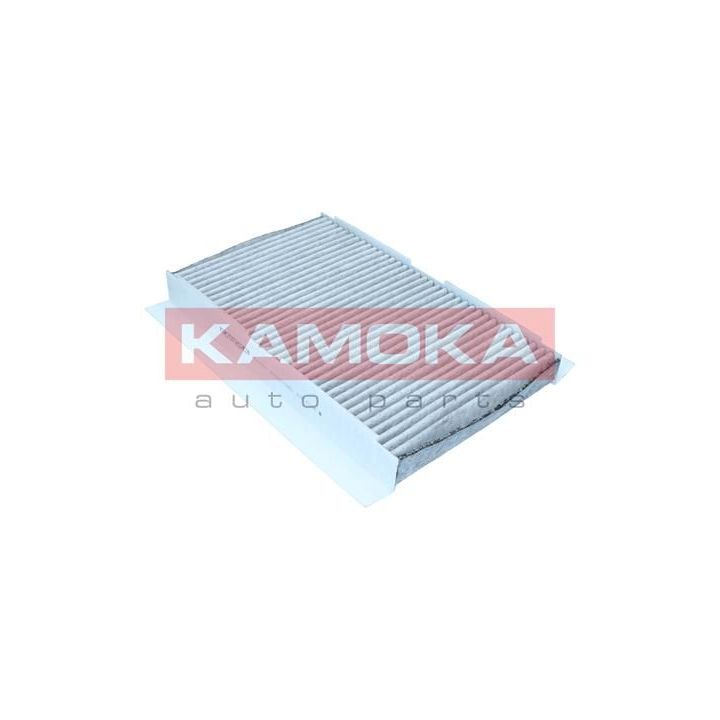 Filtras, salono oras KAMOKA F501801