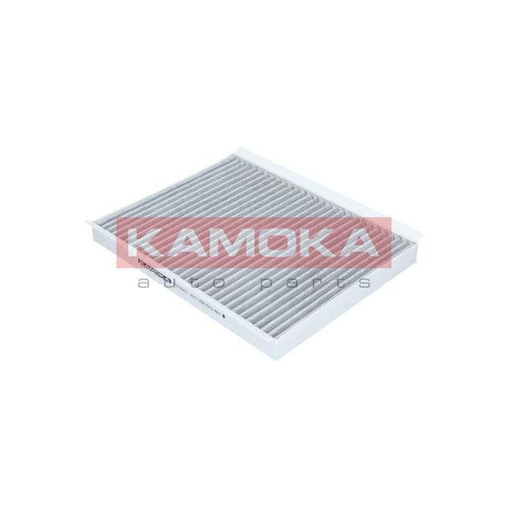 Filtras, salono oras KAMOKA F502301