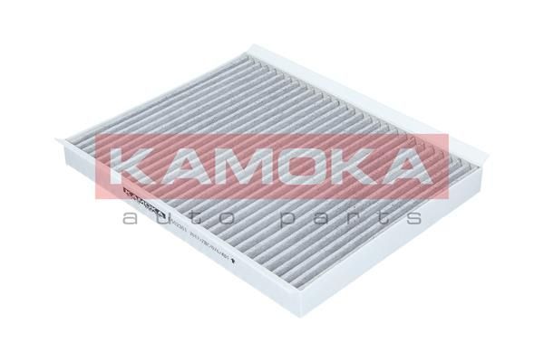 Filtras, salono oras KAMOKA F502301