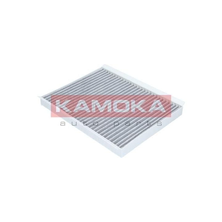 Filtras, salono oras KAMOKA F502301