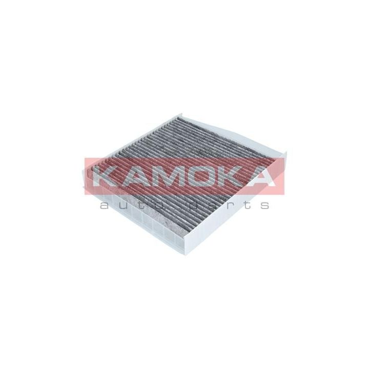 Filtras, salono oras KAMOKA F503701