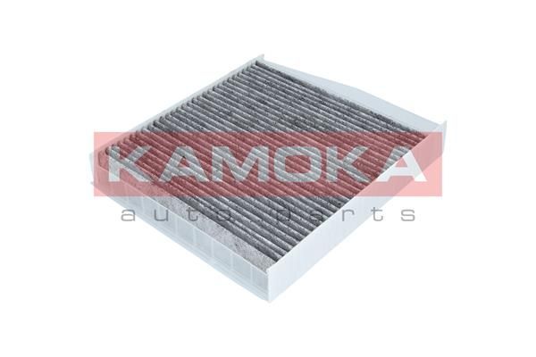 Filtras, salono oras KAMOKA F503701