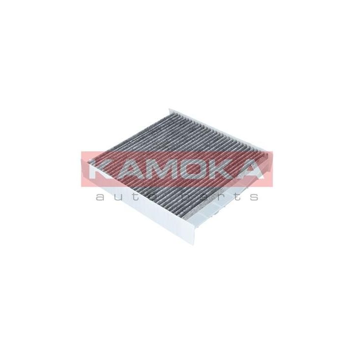 Filtras, salono oras KAMOKA F503701