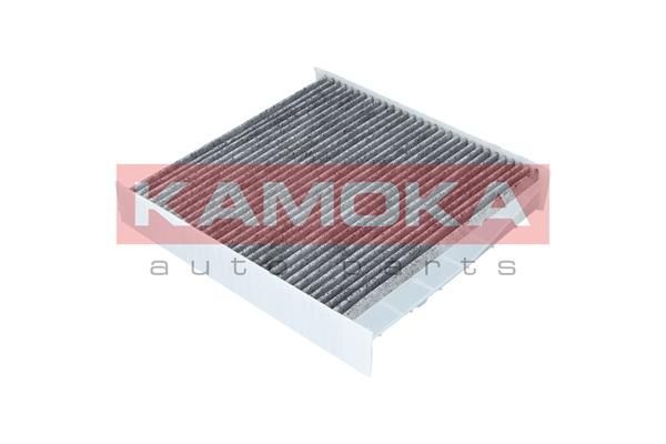 Filtras, salono oras KAMOKA F503701