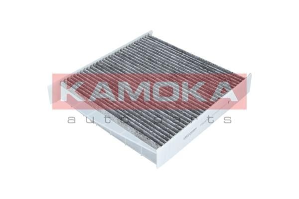 Filtras, salono oras KAMOKA F503701