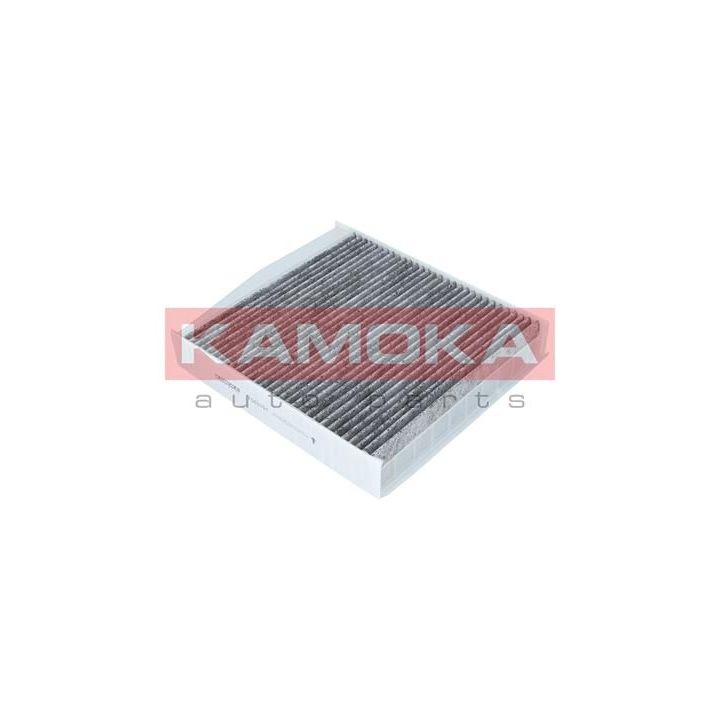 Filtras, salono oras KAMOKA F503701