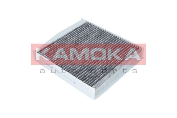 Filtras, salono oras KAMOKA F503701