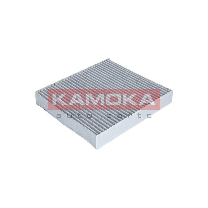 Filtras, salono oras KAMOKA F503801