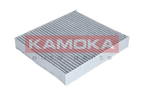 Filtras, salono oras KAMOKA F503801