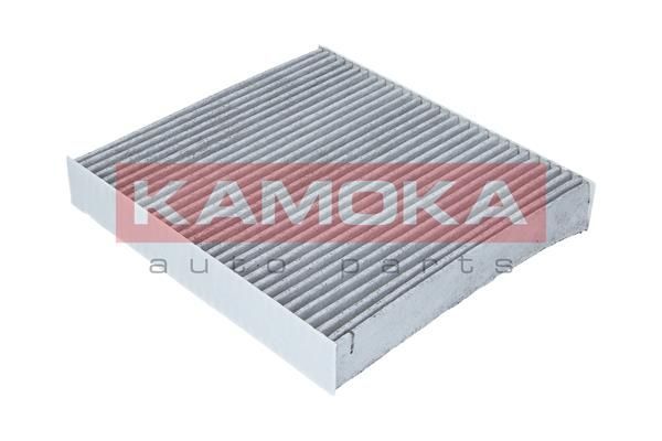 Filtras, salono oras KAMOKA F503801