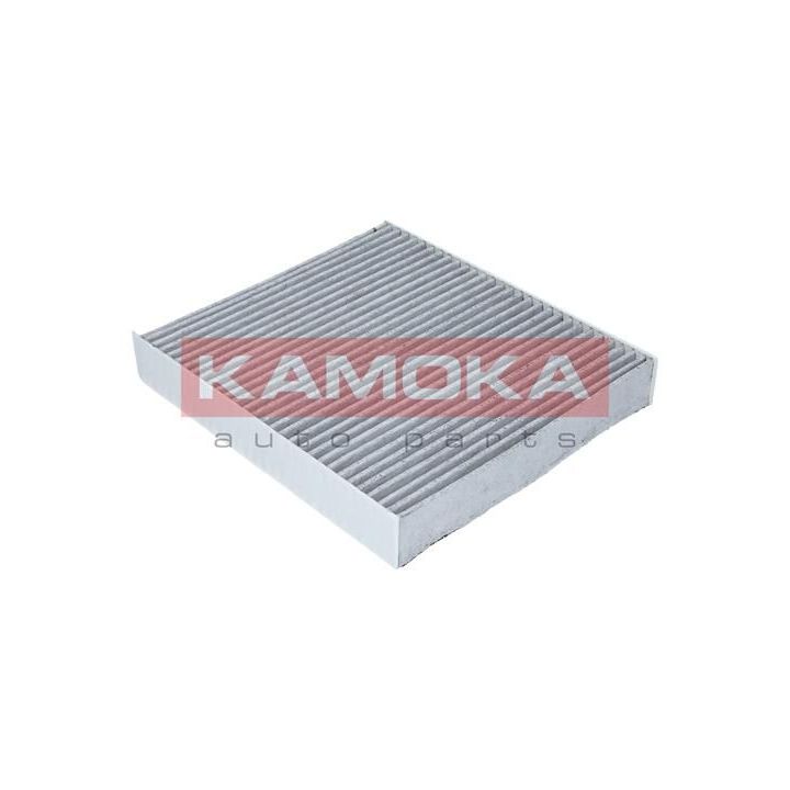 Filtras, salono oras KAMOKA F503801