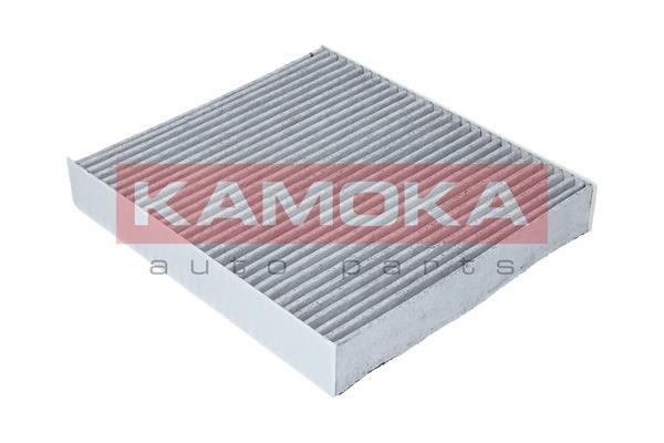 Filtras, salono oras KAMOKA F503801