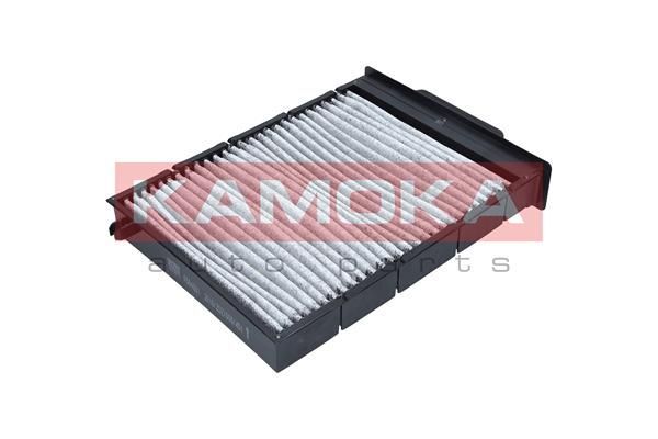 Filtras, salono oras KAMOKA F504001