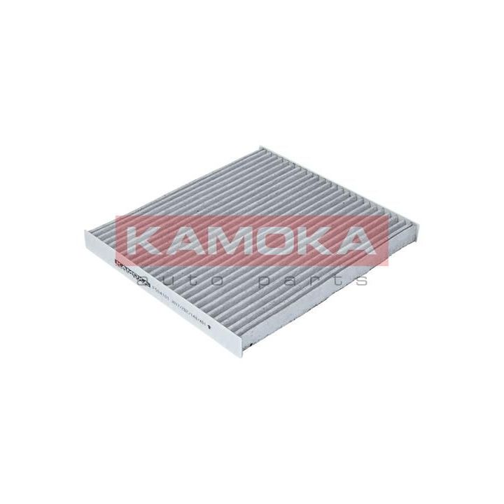 Filtras, salono oras KAMOKA F504101
