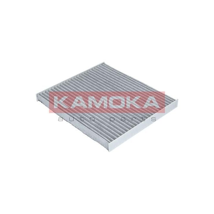 Filtras, salono oras KAMOKA F504101