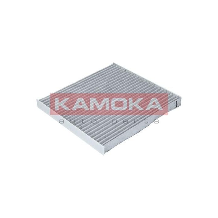 Filtras, salono oras KAMOKA F504101