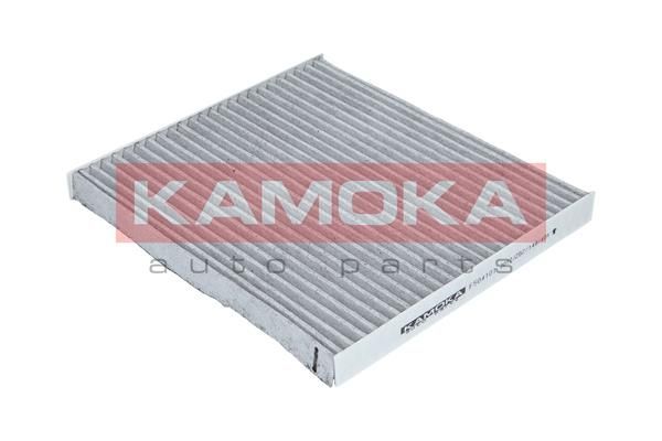 Filtras, salono oras KAMOKA F504101