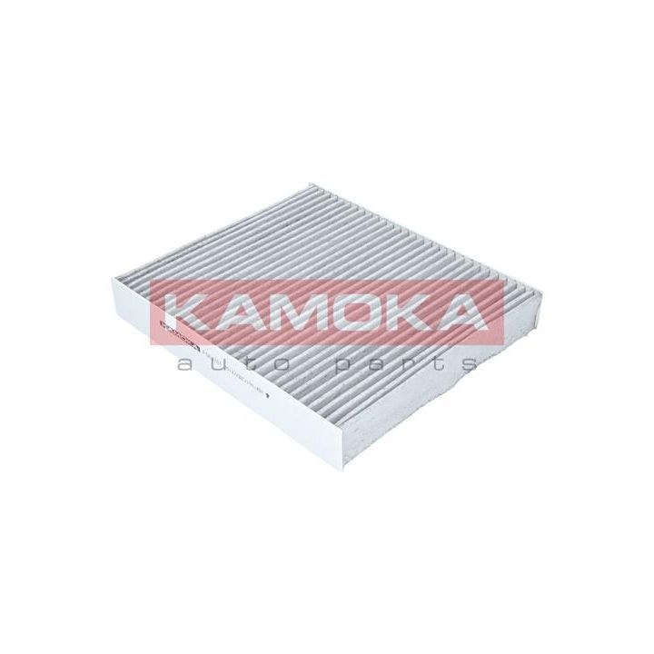 Filtras, salono oras KAMOKA F504701