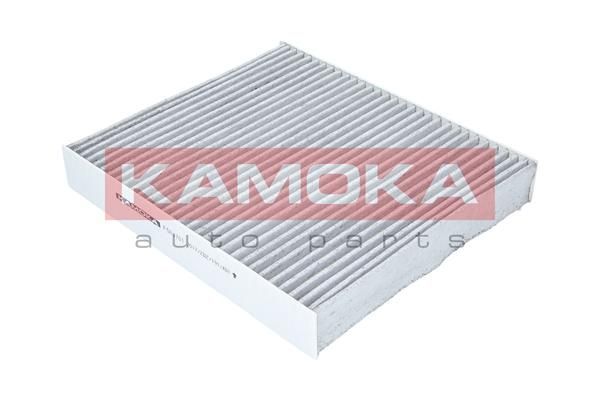 Filtras, salono oras KAMOKA F504701