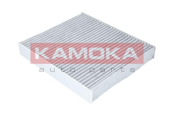Filtras, salono oras KAMOKA F504701