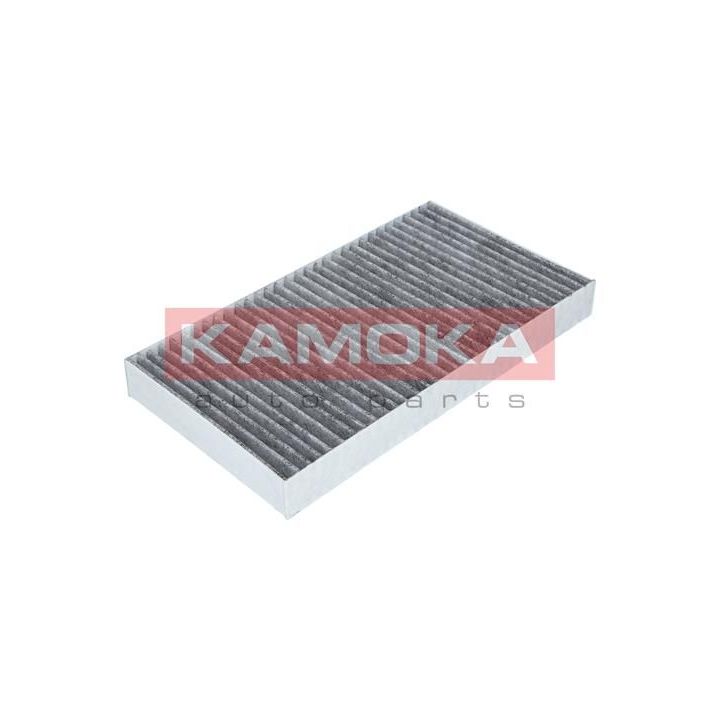 Filtras, salono oras KAMOKA F504801