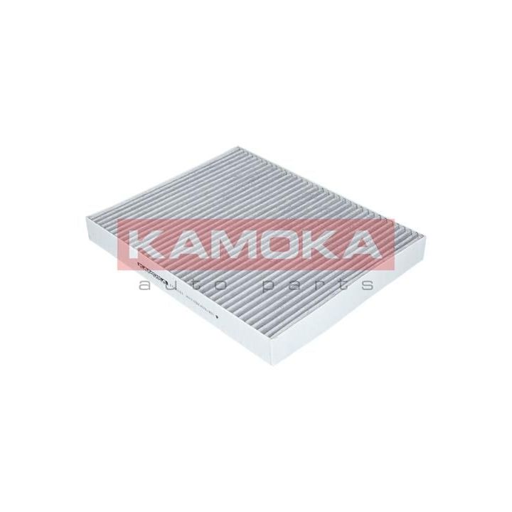 Filtras, salono oras KAMOKA F505101