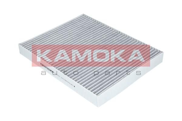 Filtras, salono oras KAMOKA F505101
