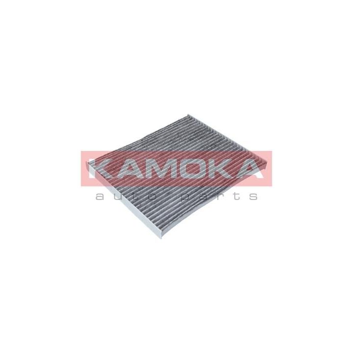 Filtras, salono oras KAMOKA F506001