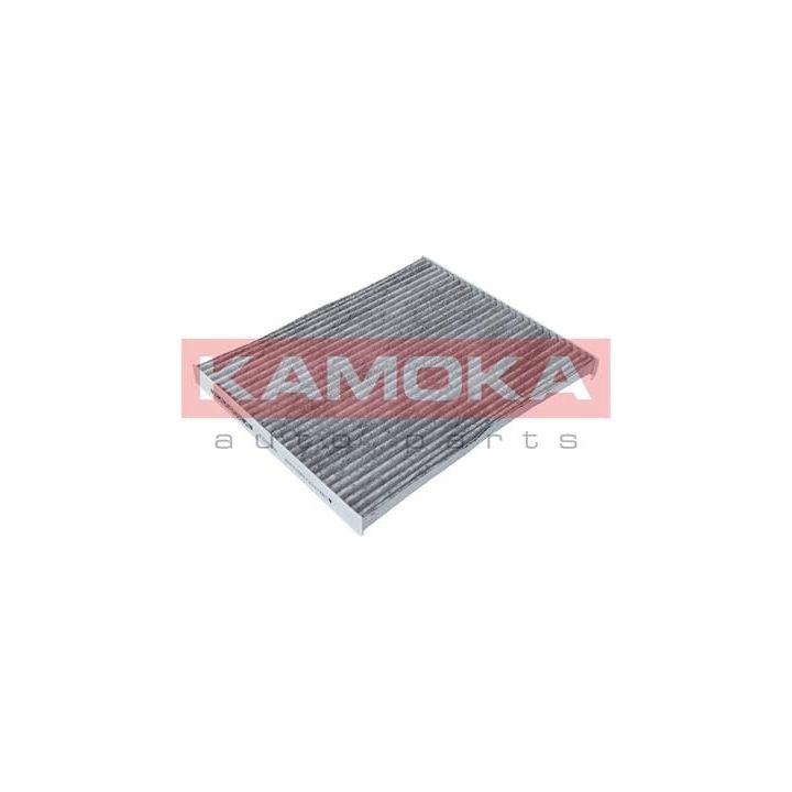 Filtras, salono oras KAMOKA F506001