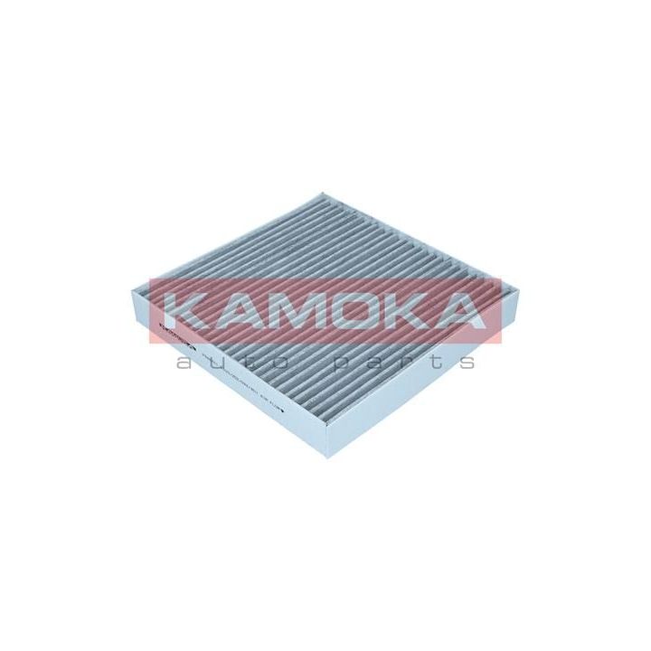 Filtras, salono oras KAMOKA F506701