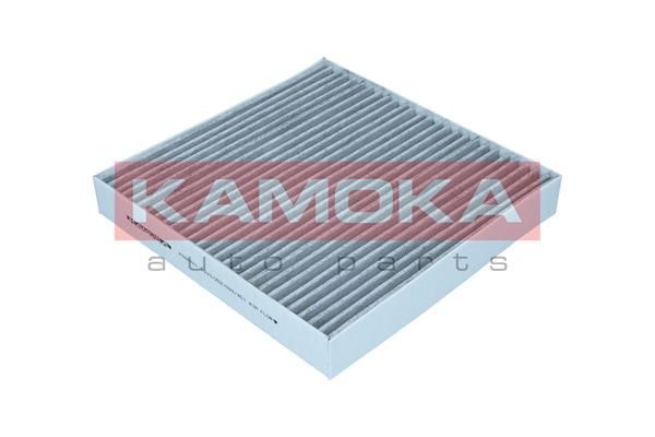 Filtras, salono oras KAMOKA F506701