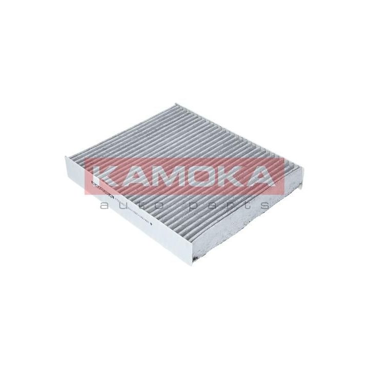 Filtras, salono oras KAMOKA F507401